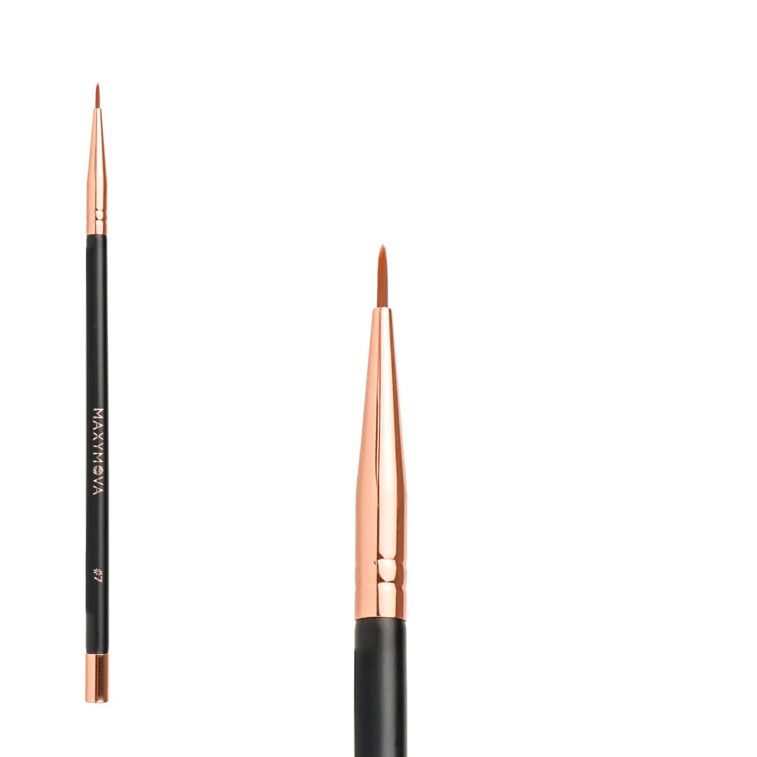 PROFESSIONAL MAGNETIC BRUSHES