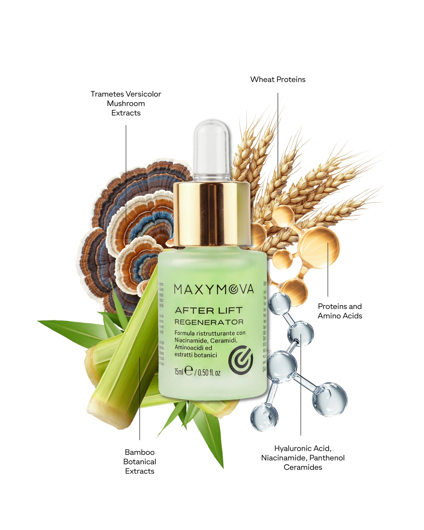 AFTER LIFT Regenerator serum 15ml - Vegan Friendly Formula Lash&Brow with Bamboo Biosilicates